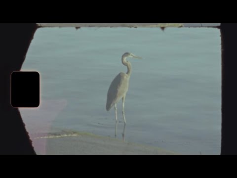 Hannah Stone - Two Feathers (Official Video)