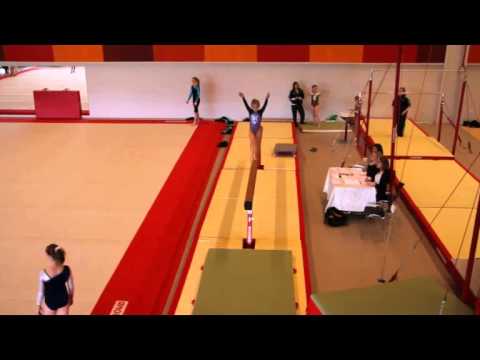 Fía FM 2011 Level 5/6