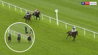 WOW! Arkle hopeful Sinnatra laughs at his rivals on chasing debut!