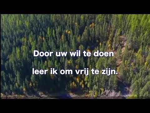 Opwekking 582 Jezus alles geef ik U