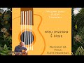 Meu Mundo E Hoje - Paulinho da Viola - Guitar Tutorial 2020