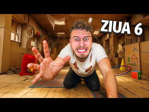 Rezistă În Casa De Carton și Câștigi $3,000 !