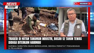 Bocah 12 Tahun Tewas Diduga Diterkam Harimau Sumatera