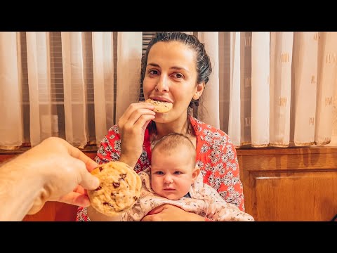 Easy Chocolate Chip Christmas Cookie Recipe