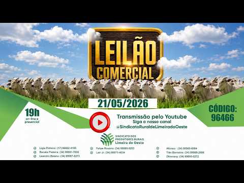 LEILÃO COMERCIAL DO SINDICATO DOS PRODUTORES RURAIS DE LIMEIRA DO OESTE/MG