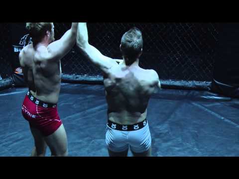 Fanfest 2014 - EVE of Destruction