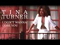 Tina Turner - I Don't Wanna Lose You 