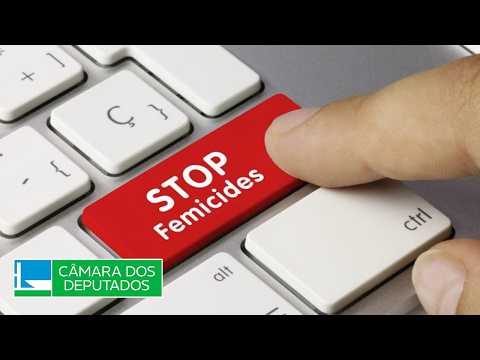 Comissão sobre feminicídios no Rio Grande do Sul aprova relatório - 24/02/26