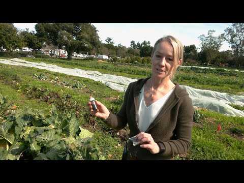 Stanford researchers testing biochar to expand carbon reduction