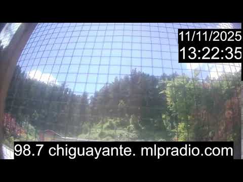 Chiguayante Bio Bio Chile, en Vivo. Live Cam, Camara en vivo.