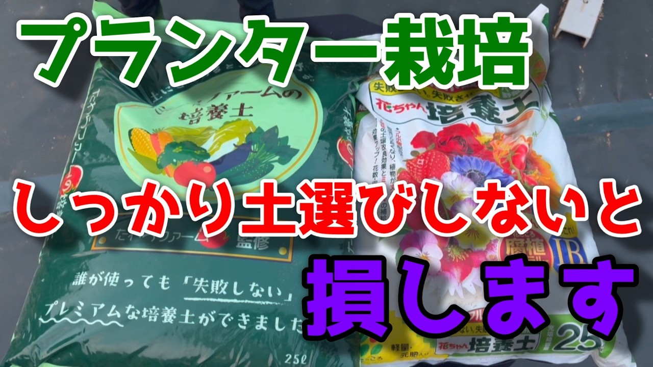 【プランター】まずは基本！いい土選びが成功率を大幅に上げます　【家庭菜園】