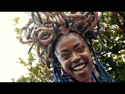 Desfile Bloco Amigos da Onça