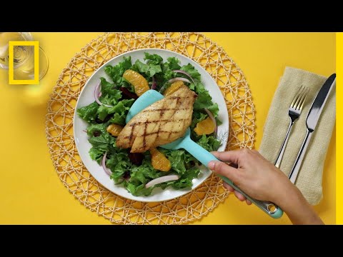 魚があなたの次のサラダを育てるかもしれない方法｜デコーダー