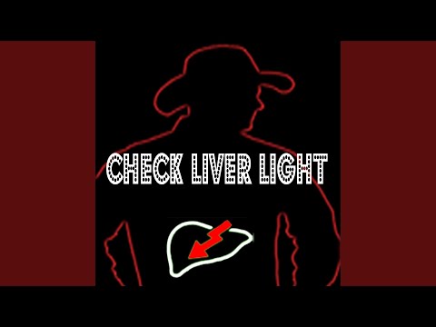 download lagu mp3 mp4 Check Liver Light, download lagu Check Liver Light gratis, unduh video klip Check Liver Light