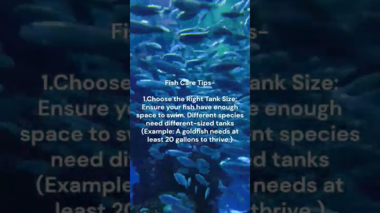 5 Most EPIC Fish Battles I've Ever Seen at the Fishpond!