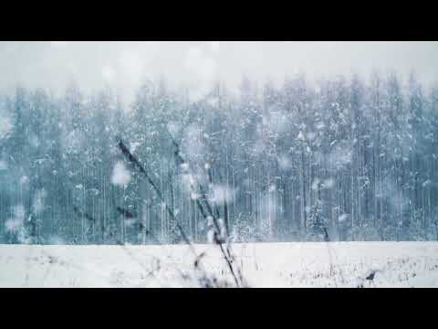UNSECRET STRING QUARTET - LET IT SNOW [OFFICIAL AUDIO]