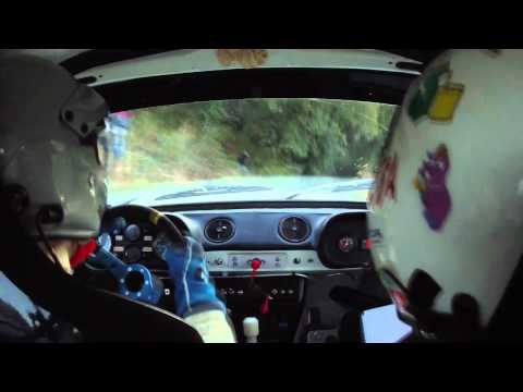 Davide Cesarini al RallyLegend 2011 - PS8