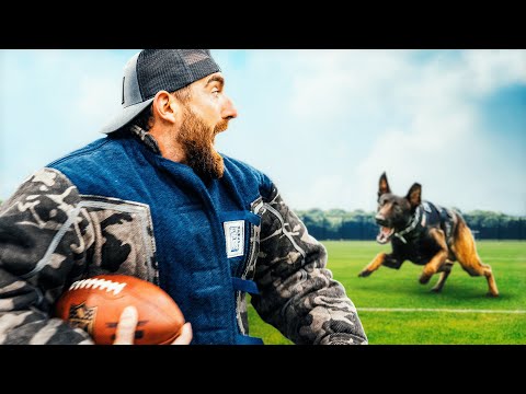 The Ultimate Battle: Canine Police Dogs vs Charging Bulls