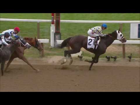 Exaggerator Headlines 2016 Travers Stakes at Saratoga