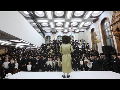 שמחת בית השואבה עם ר מיילך בידרמן | Rav Elimelech Biderman Simchat Beit HaShoeivah