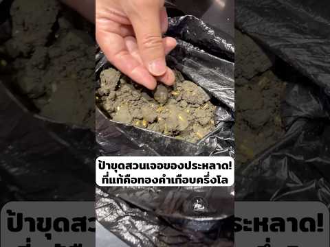 คุณป้าขุดสวนเจอของประหลาด! ที่แท้คือทองคำเกือบครึ่งโล