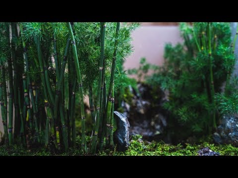 download lagu mp3 mp4 Bamboo Grove, download lagu Bamboo Grove gratis, unduh video klip Bamboo Grove