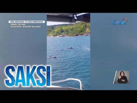 Mga whale dolphin, lumitaw at nakisaya sa island hopping ng mga turista Saksi