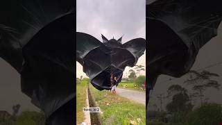 Download lagu Two adults were carried away by a large kite #flying #kites #uniquefacts #shortvideo mp3 Download lagu Two adults were carried away by a large kite #flying #kites #uniquefacts #shortvideo mp3