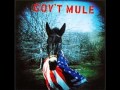 Gov't Mule - Bad little Doggie