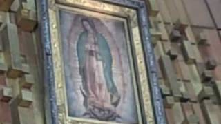 preview picture of video 'Our Lady of Guadalupe  #1'