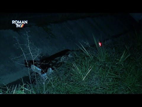 Femeie din Traian, omorâtă pe trecerea de pietoni