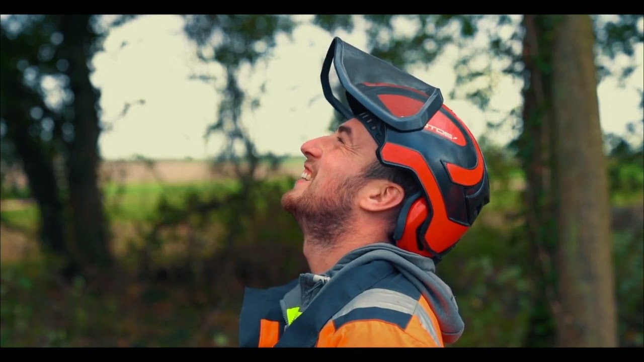 Wilsons Tree Surgery