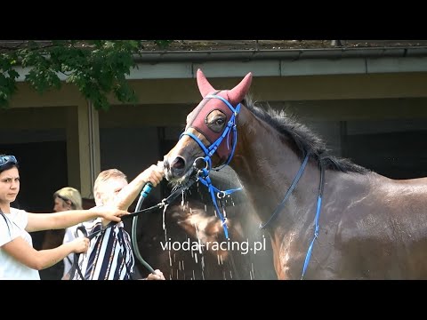 Gon. III - 19.08.2023 - Socorania (Make Believe - Coming Back)