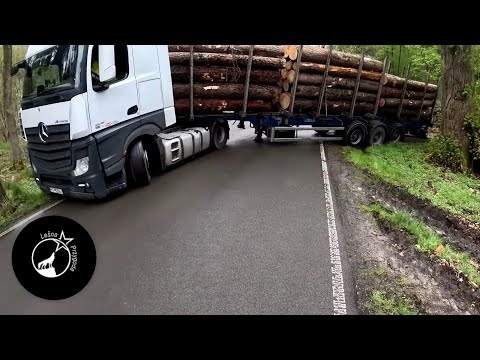 Forest Adventure # 408 COME ON!!! | What's that smell? Scrambled eggs with potatoes