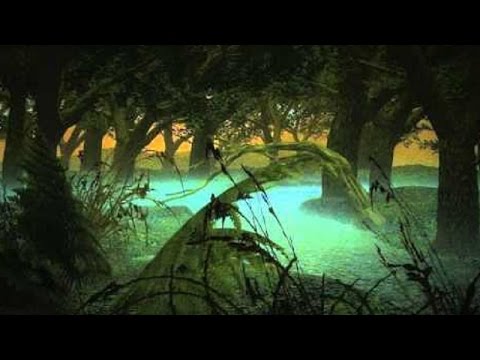 Fantasy Music - Hollow Woodlands