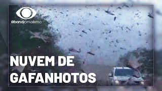 Miniatura do vídeo