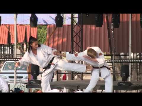 Augusztus 20-i Búcsú Dunaharasztin 2017. - 2.  (2017. 36. hét)