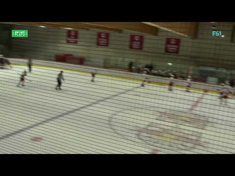 Red Bull Salzburg - Chumutov U 15 (03 03 2019)