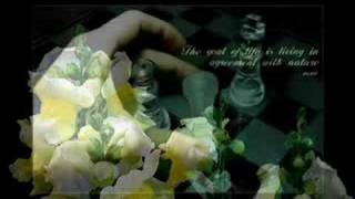 Blessid Union of Souls - Light In Your Eyes