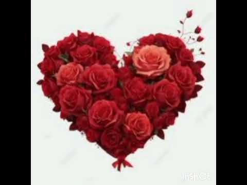 Të thuash të vërtetën lëndon ndjenjat Ky rregull vlen për të gjithë pa përjashtim