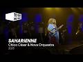 Chico César & Nova Orquestra – “Saharienne” | Te Vejo No Palco 2025