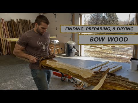 How To Find & Prepare Bow Wood