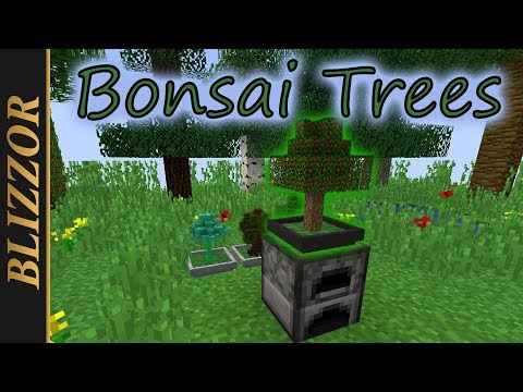 Bonsai Trees - Mod Spotlight [Tutorial] [Deutsch] [GER]