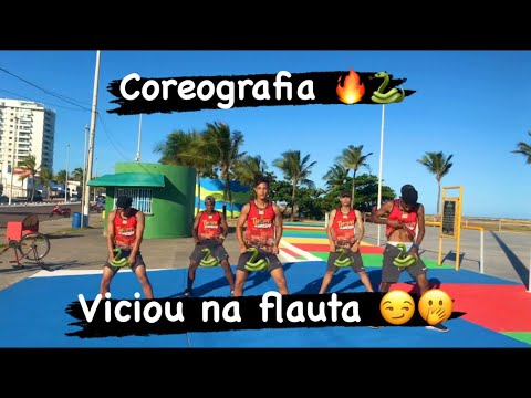MC REINO, CHEFE CORINGA, BARCA NA BATIDA, MC MARI - VICIOU NA FLAUTA - COREOGRAFIA | BREGA FUNK