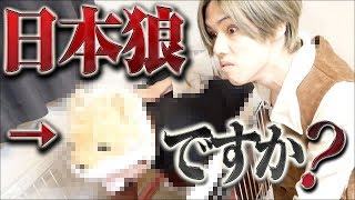 あの絶滅動物は今！日本オオカミを飼う者