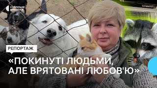 "У кожного своя історія": як понад 100 тварин живуть у притулку домашнього типу на Миколаївщині (фото, відео)