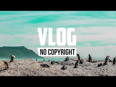 x50 - Penguin (Vlog No Copyright Music)