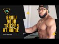 HOW TO GROW YOUR TRICEPS AT HOME | Kelly Brown