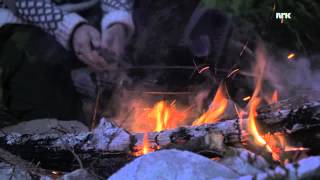 Ut i naturen: Skogsvandreren