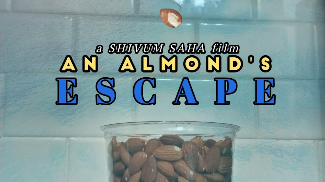 An Almond's Escape: A Film by Shivum Saha